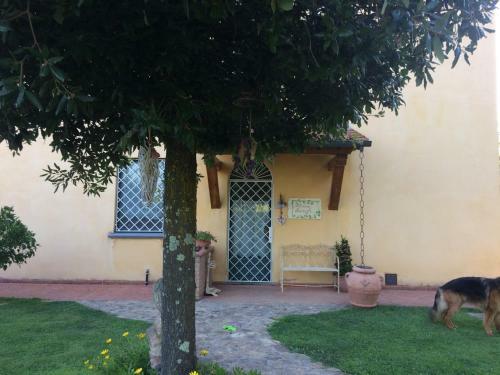 Apartamento Casa Monica