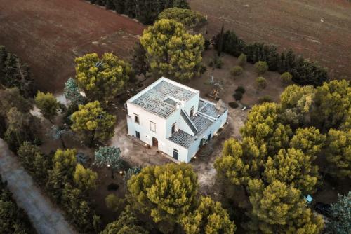 Bed & Breakfast Masseria Fracchicchi
