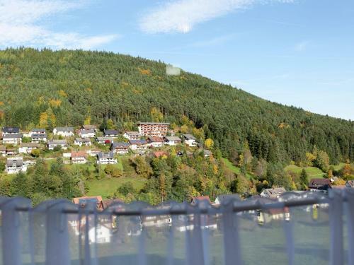 Quietly Situated, Bright Apartment In Baiersbronn With Private Balcony
