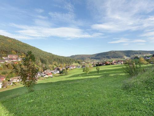Quietly Situated, Bright Apartment In Baiersbronn With Private Balcony