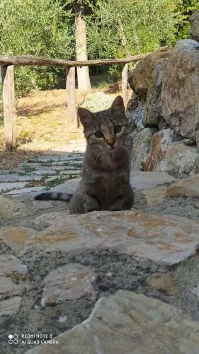 Apartamento Mommialla Il Baluardo