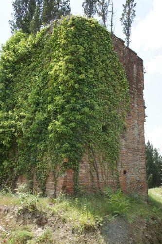 Villa Borgo La Fungaia