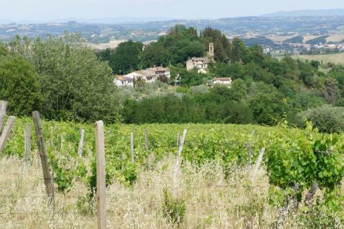 Villa Borgo La Fungaia