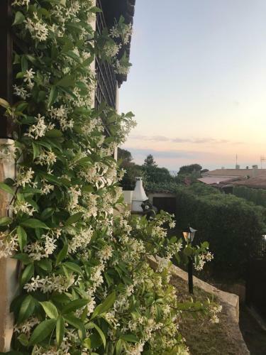 Casa Panoramica Vista Mare