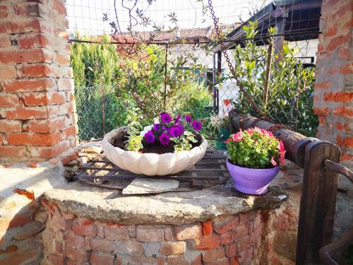 Bed & Breakfast Antico Pozzo