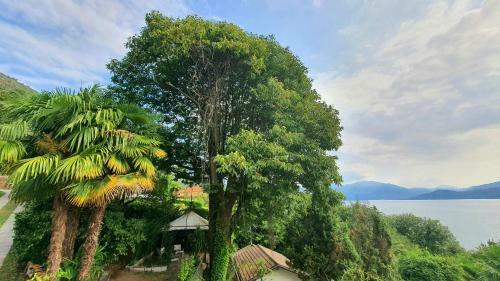 Apartamento Bella Vista Sul Lago Maggiore