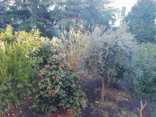 Apartamento Etna Mare Jonio