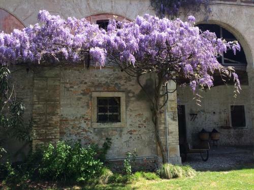 Villa Adelaide