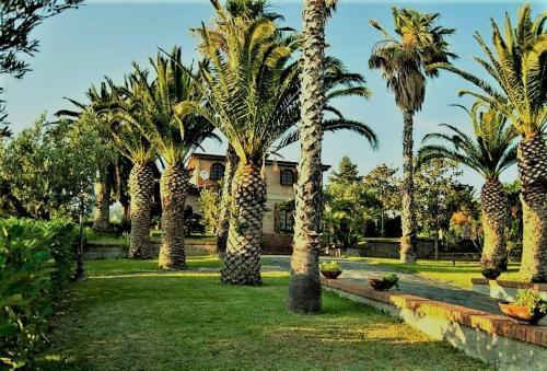 Bed & Breakfast Villa Amalia