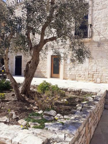 H2o Apartment Giovinazzo