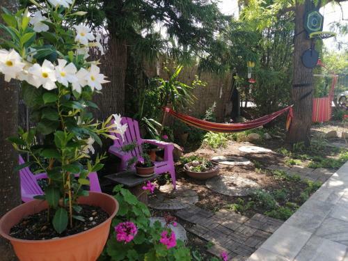 Secret Garden