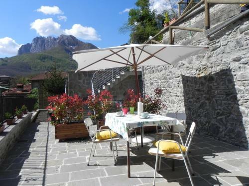 Agriturismo La Calamaia