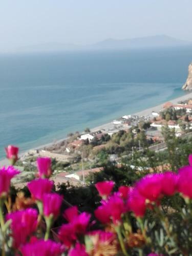 Residence Calav� Villa Rosa