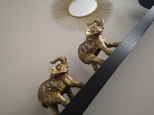 Apartamento Bruma Home