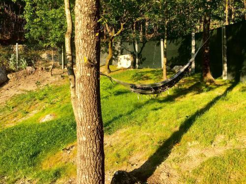 The Green Roof House
