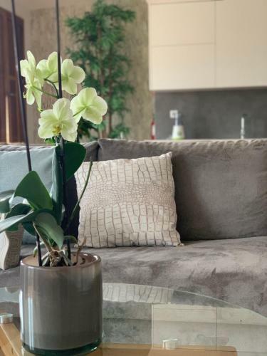Apartamento A Lenda Do Rio Do Lethes