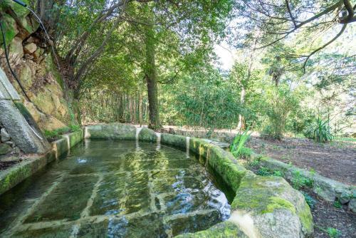 Quinta Das Lamas - Antiga Adega
