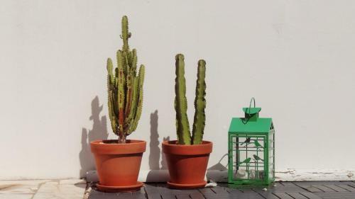 Casa Do Tanque Amarelo By Stay In Alentejo