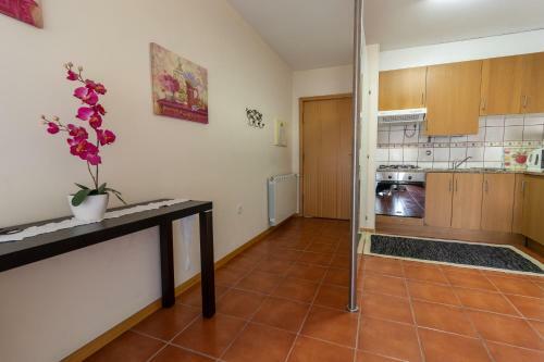 Apartamento Casa Da Levada