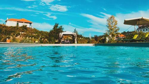 Agroturismo The River House - Termas Guesthouse