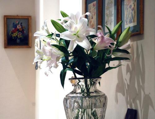 Bed And Breakfast Flowers