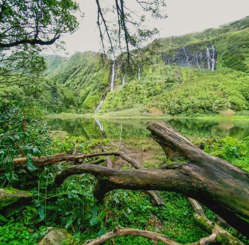 Monchique Islet View House T1