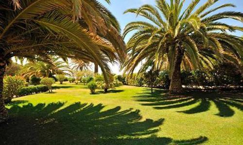 Apartamento Torralta Alvor Beach 601