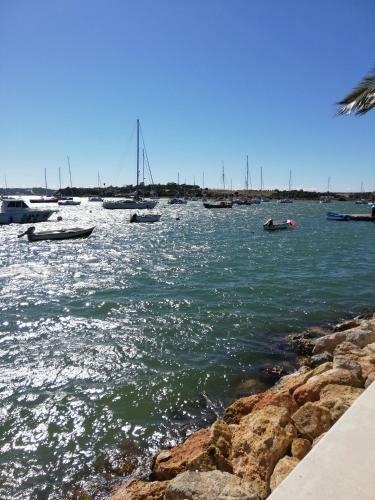 Apartamento Edif�cio Mar E Serra