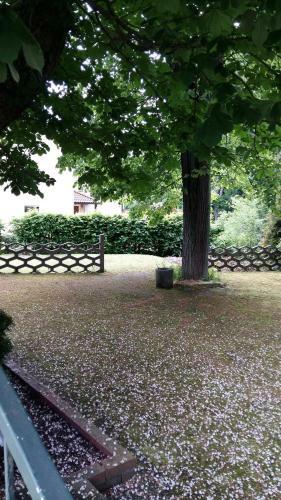 Hostal Pension Am Tharandter Wald