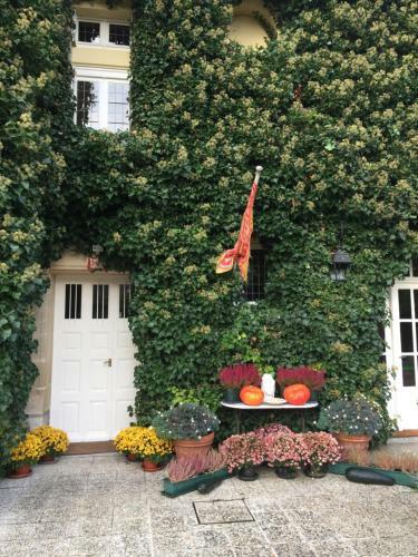 Bed & Breakfast Manoir Des Cavaliers - Bnb