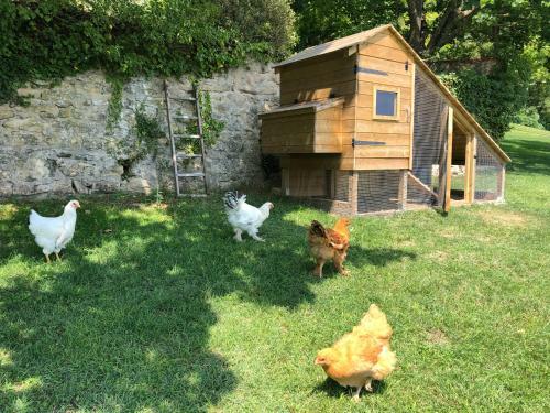Mas Des Poutres - Tinyhouse