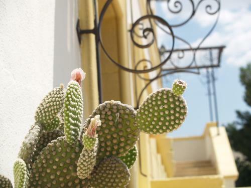 Bed & Breakfast Sogni D'oro