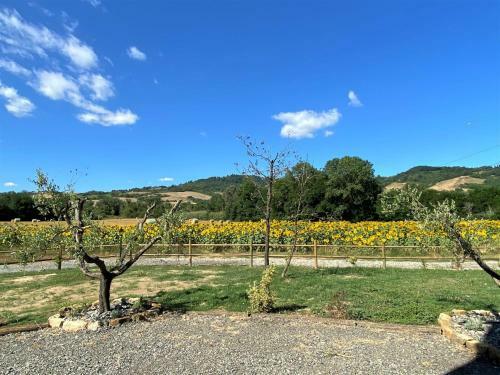 Apartamento Locazione Turistica Olea