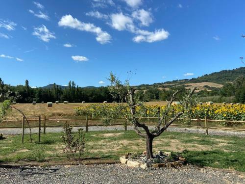 Apartamento Locazione Turistica Olea
