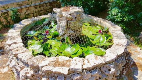 Bed & Breakfast Villa Dan-monopoli