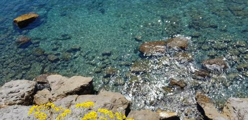 Apartamento Adelebeppe "the Seaview"