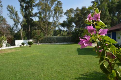 Bed & Breakfast Casa Blanca