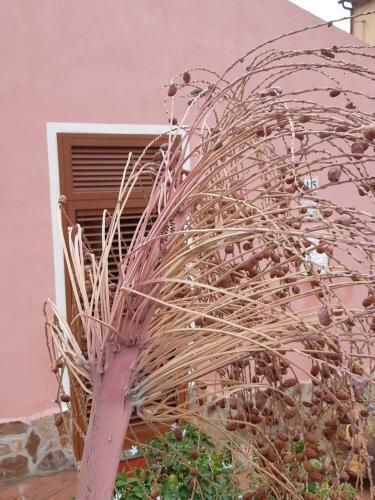 Apartamento La Casetta Colorata Di Max