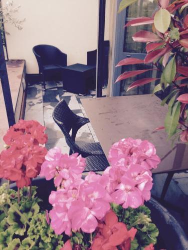 Hotel Ca L�arpa