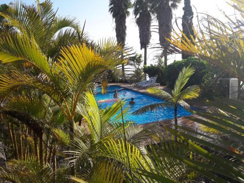Apartamentos Villa Colon