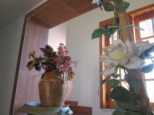 Apartamento Vista Mozzafiato Sul Salento
