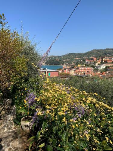 Apartamento Casa Gaia