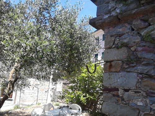 Apartamento Mare, Monti E...cinque Terre