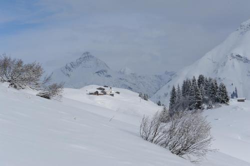 Hostal Pension Gallus