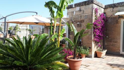 Apartamento Le Suites Di Gio' In Terrazza Ed Al Primo Piano