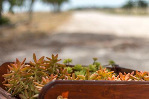 Agroturismo Sitamara