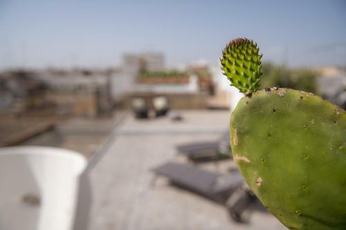 Apartamento Terrazza "dolce Vita" Suite E Private Wellness