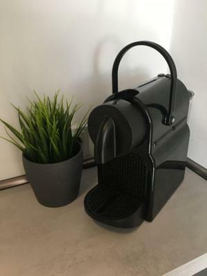 Apartamento Zimmervermietung Hofmeister