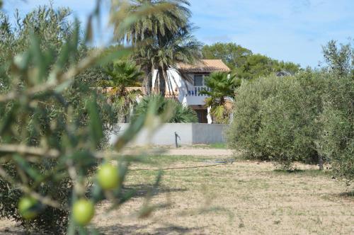Es Pas Formentera Agroturismo