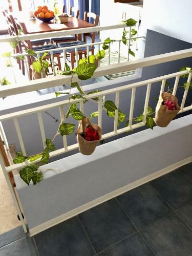 Apartamento Light Blue House